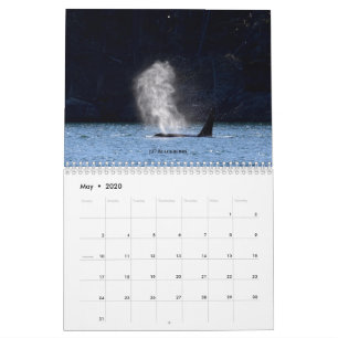 Calendrier 2020 Les Baleines tueuses résidentes du