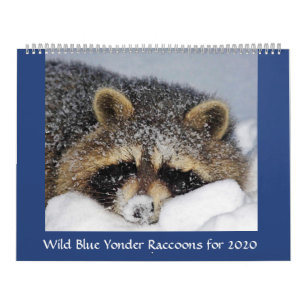 Calendrier 2020 Raccoon de Wild Blue Yonder.