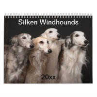 2020 Silken Windhounds (2)