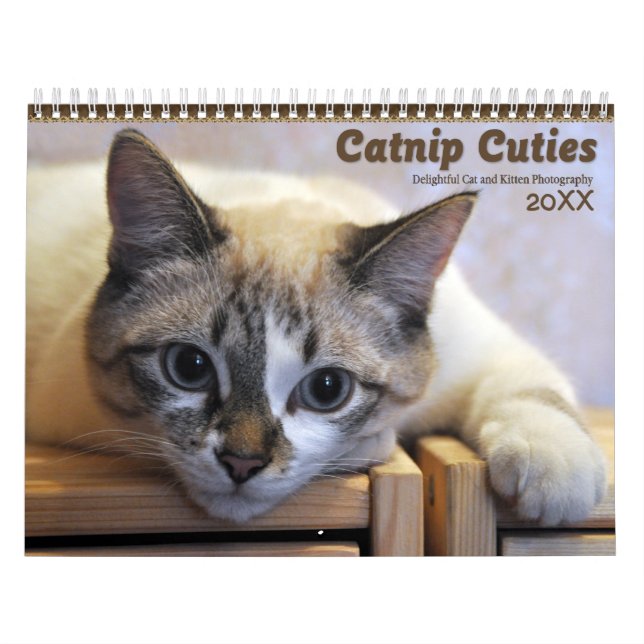 Calendrier 2021 Cutés de cuisine chats et chatons (Protection)