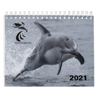 Calendrier 2021 - Dauphins à face blanche du Pacif