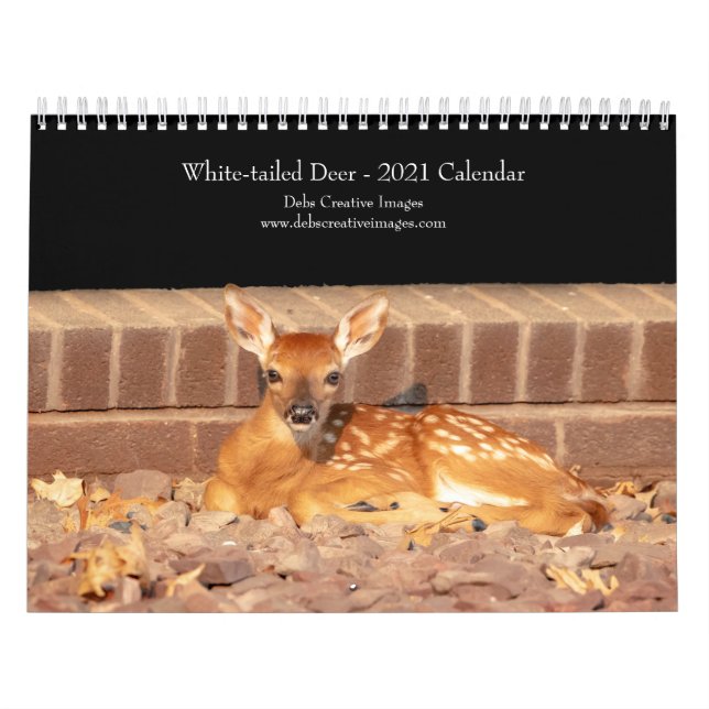 Calendrier 2021 des cerfs à queue blanche (Protection)