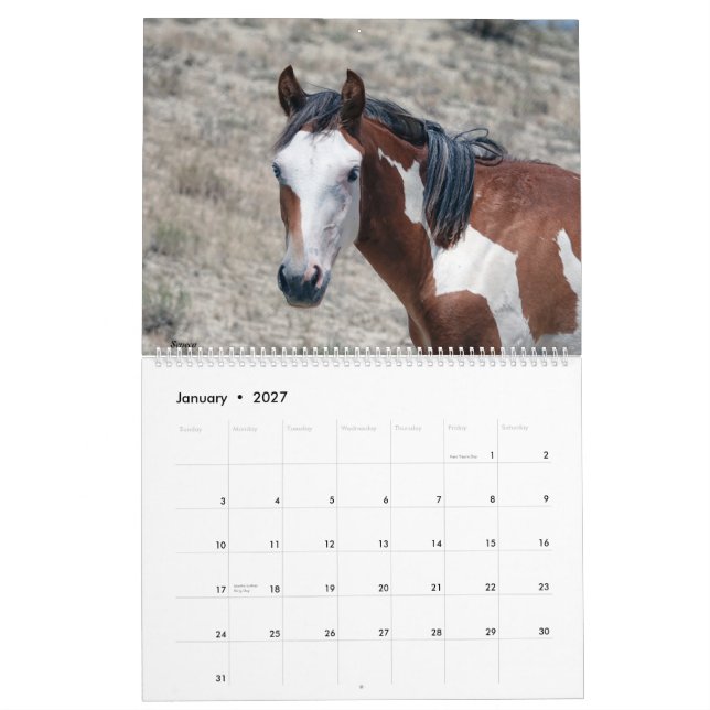 Calendrier 2021 du bassin de lavage de sable (Jan 2027)