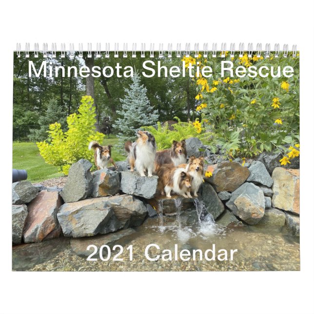 Calendrier 2021 du Minnesota Sheltie Secourt (Protection)