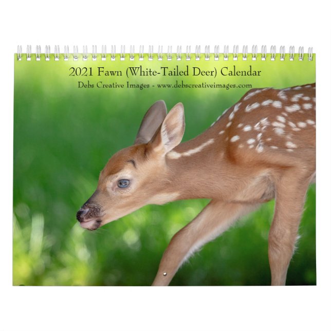 Calendrier 2021 sur la faune (cerf de Virginie) (Protection)