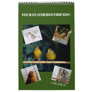 Calendrier 2021 Wall Calendar Mignons Oiseaux Animaux Animaux
