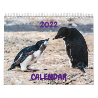 Calendrier 2022 - Antarctique
