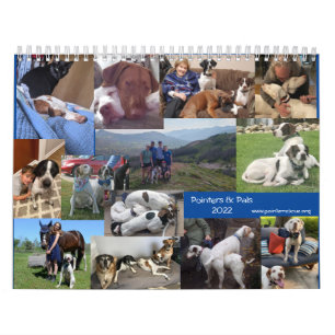 Calendrier 2022 Pointeurs et Pals PointerRescue Org Calendrie