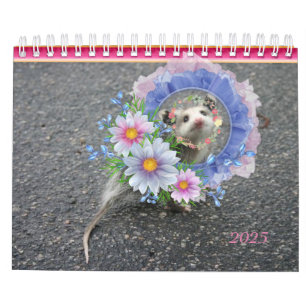Calendrier 2022 Rayures colorées Opossum Floral