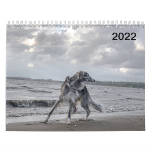 Calendrier 2022 Silken Windhounds (Multiple Dogs & In Action)