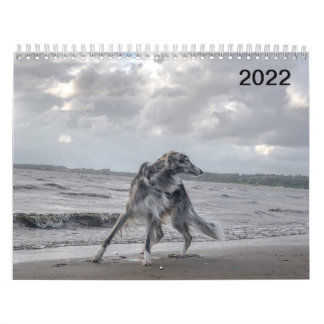 Calendrier 2022 Silken Windhounds (Multiple Dogs & In Action)