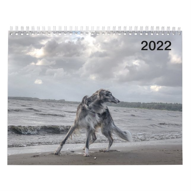 Calendrier 2022 Silken Windhounds (Multiple Dogs & In Action) (Protection)
