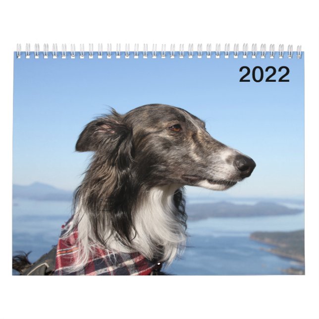 Calendrier 2022 Silken Windhounds (Tirs de tête) (Protection)