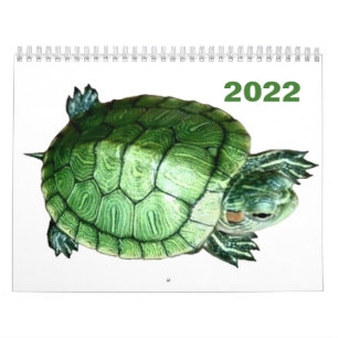 Calendrier 2022 Tortue