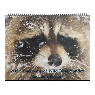 Calendrier 2022  Wild Blue Yonder Raccoon Rescue  
