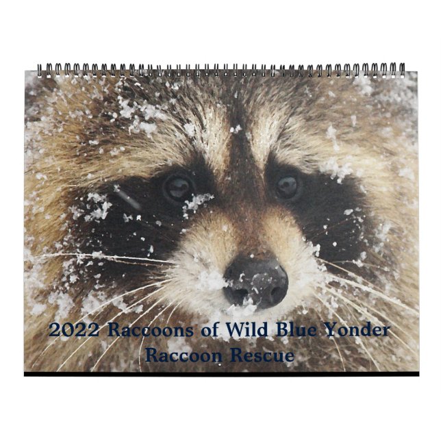 Calendrier 2022  Wild Blue Yonder Raccoon Rescue   (Protection)