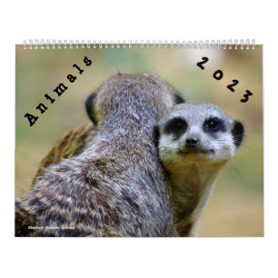 Calendrier 2023 Animaux