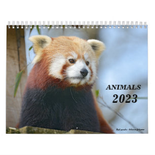 Calendrier 2023 animaux