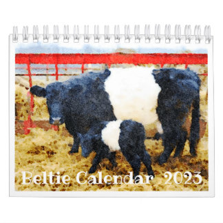 Calendrier 2023 Béton de vache Beltie Beltie Beltie Beltie