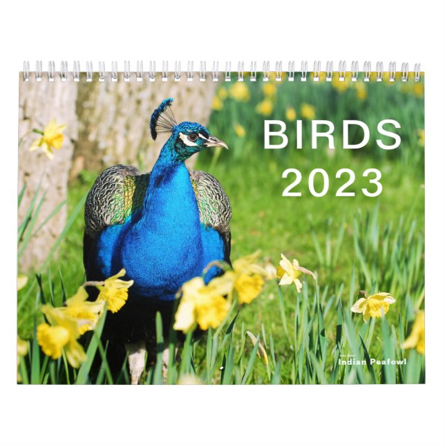 Calendrier 2023 de divers oiseaux (Protection)