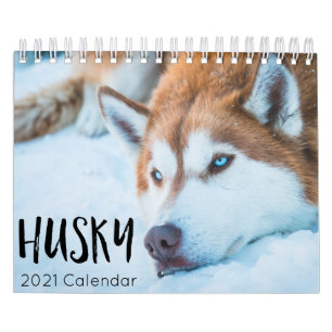 calendrier 2023 de husky dog