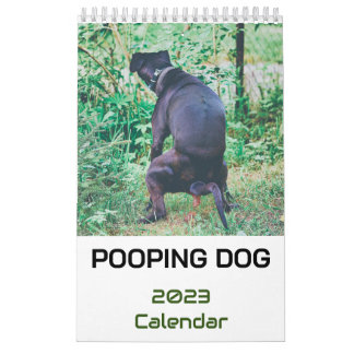 Calendrier 2023 de Pooping Dog