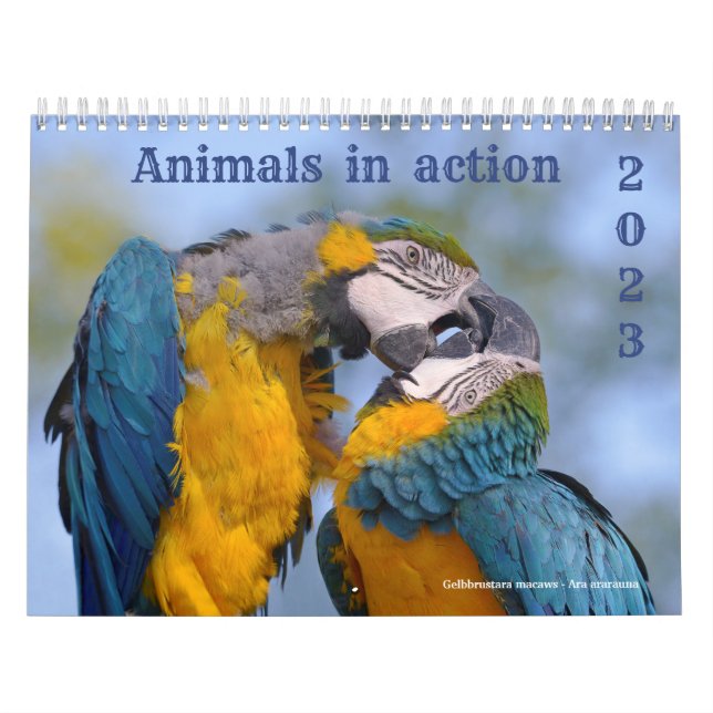 Calendrier 2023 des animaux en action (Protection)
