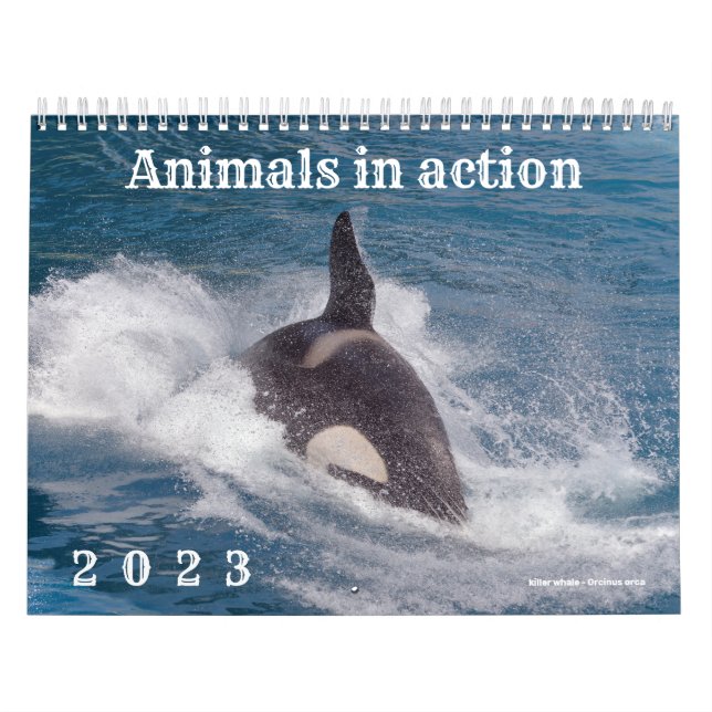 Calendrier 2023 des animaux en action (Protection)