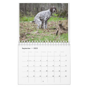 Calendrier 2023 Des Chiens De Pooping