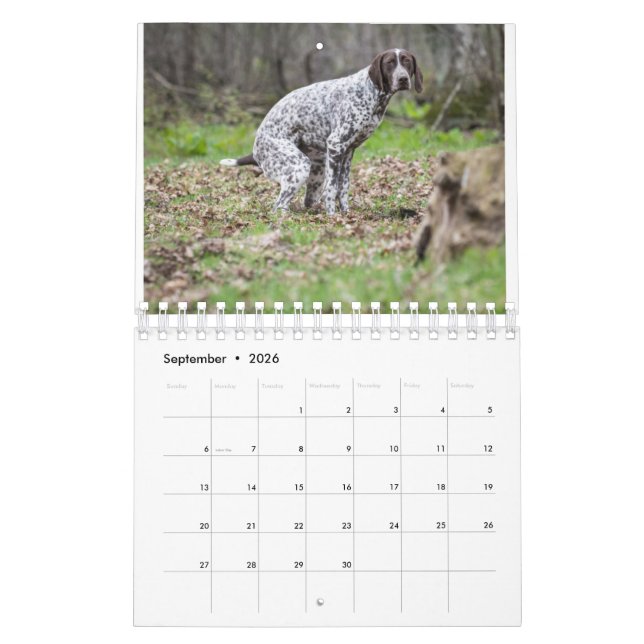 Calendrier 2023 Des Chiens De Pooping (Sep 2026)