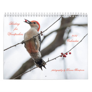 Calendrier 2023 des oiseaux de pic