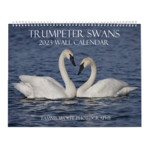 Calendrier 2023 du mur de cygne trompette