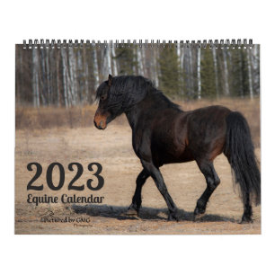 Calendrier 2023 Equine Photo Calendar
