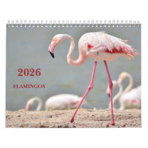 Calendrier 2023 flamants