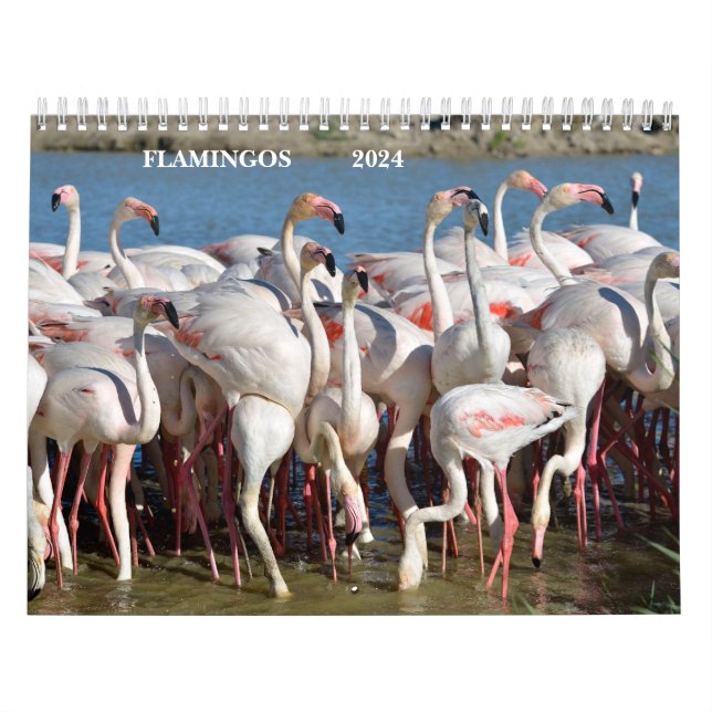 Calendrier 2023 Flamants roses (Protection)
