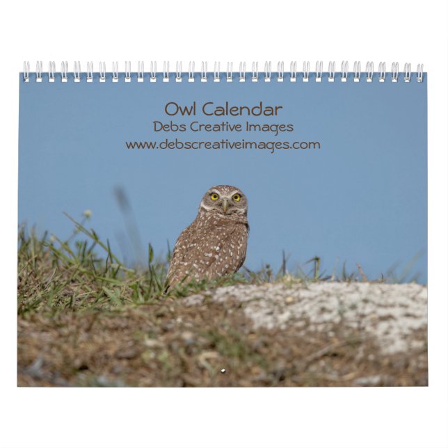 Calendrier 2023 Hibou (Protection)