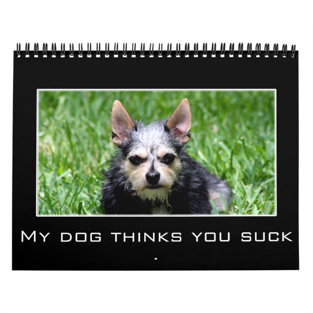 Calendrier 2023 Humour décourageant et démotivationnel (Protection)