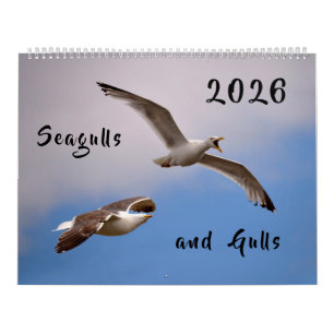 Calendrier 2023 Mouettes et mouettes