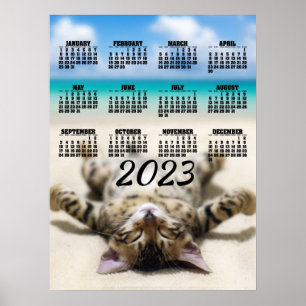Calendrier 2023 Poster de Chat qui se fait bronzer