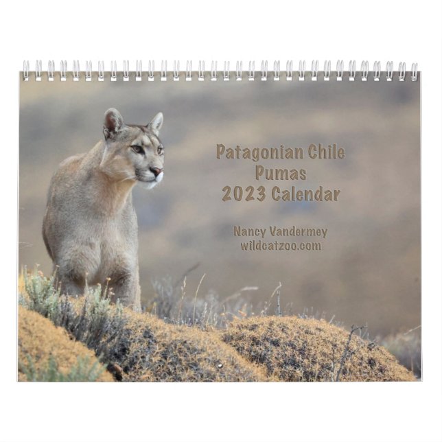 Calendrier 2023 Pumas du Chili (Protection)