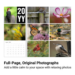 Calendrier 2024 de la photographie de la faune