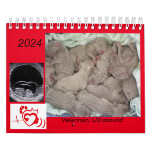 Calendrier 2024 de l'imagerie par ultrasons vétéri