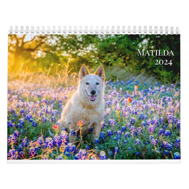 Calendrier 2024 de Matilda (Protection)