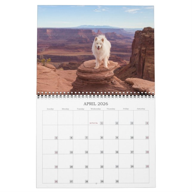Calendrier 2024 des ours de riz à la noix de coco (Apr 2026)