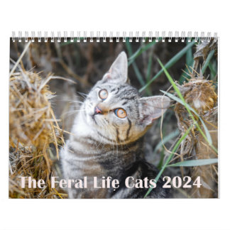 Calendrier 2024 Feral Life 2024 Beautiful Natural Cats