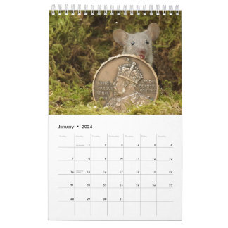 Calendrier 2024 George la souris dans une pile de rondins