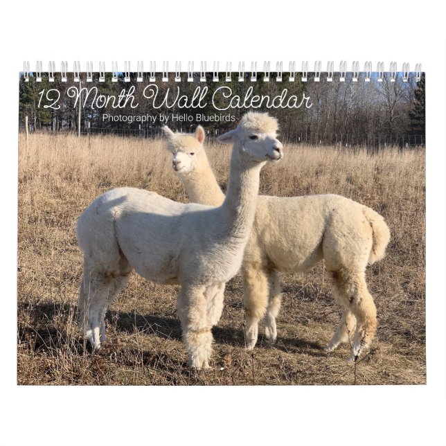 Calendrier 2025 - Bonjour Bluebirds photos de ferm (Protection)
