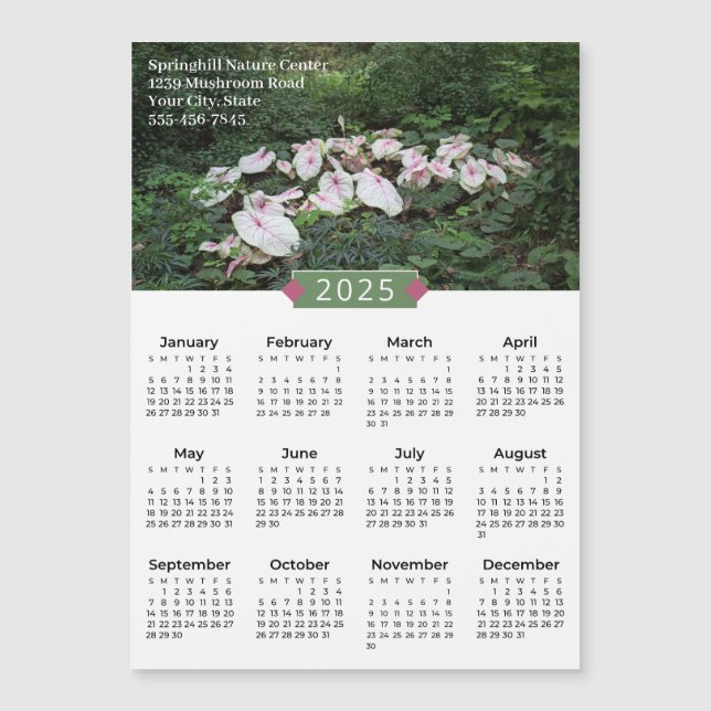 Calendrier 2025 Caladium photo Promo Magnet (Devant)