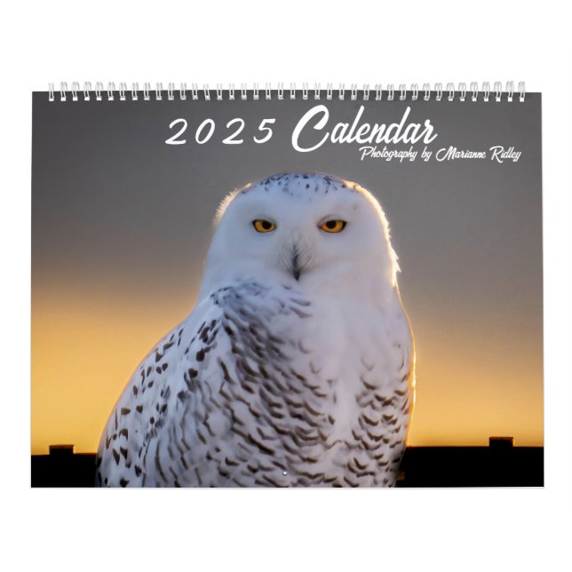 Calendrier 2025 de la faune et du paysage (Protection)