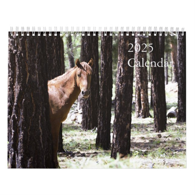 Calendrier 2025 Des Chevaux Sauvages Pour Soutenir (Protection)